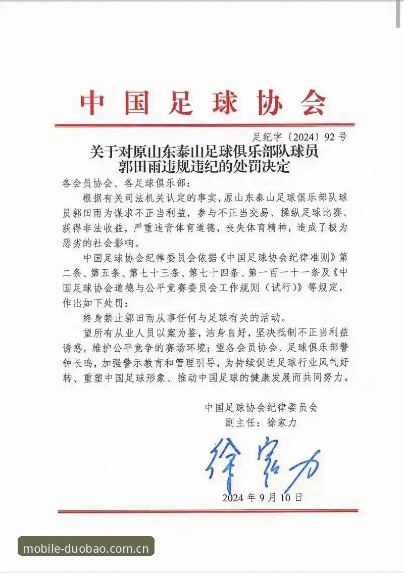 中国足协第三批禁足名单全面解析：17人终身禁赛背后的行业震荡